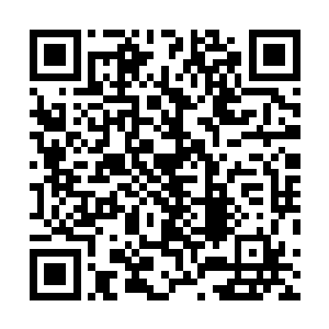 因为他敢做出百分之九十九点九九的人都不敢做出的事情二维码生成