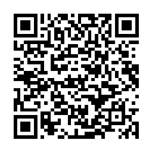 因为他早已看出汉室的落寞和覆灭已经是大势所趋二维码生成