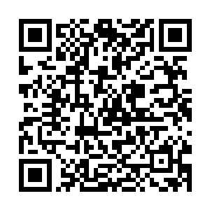 因为他是三大圣帝中唯一沒有牵扯到小白的时间中來二维码生成