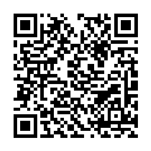 因为他是自己治下最桀骜不驯领地最广的二级酋长二维码生成