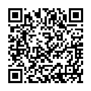 因为他曾经听自己的师公讲述过一个诡异的故事二维码生成