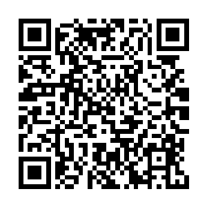 因为他曾经面对过实力在他之上数倍的高手焚月二维码生成