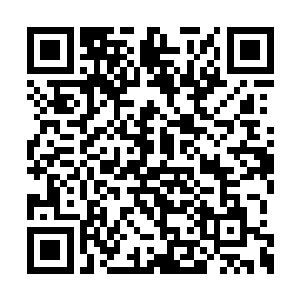 因为他最大的敌人马上就要消失在这个世界上了二维码生成