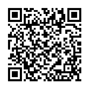 因为他最擅长的速度在吞鹏的面前真的不算什么二维码生成