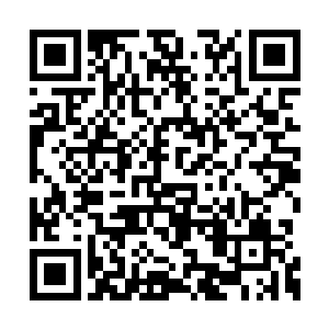 因为他根本就不知道雷天来上古墓葬是为了什么二维码生成