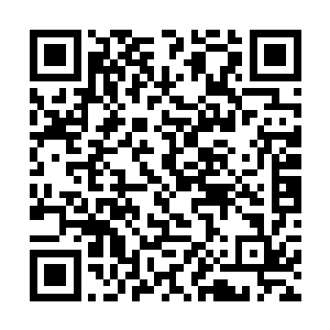 因为他潜修的这座山峰被他布置的一层结界给笼罩着二维码生成