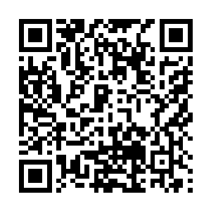 因为他的动作和气息已经完全引起到那些虫族的注意了二维码生成