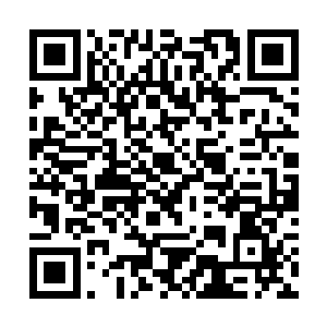 因为他的识海里有别样红前辈传承的战斗经验与智慧二维码生成