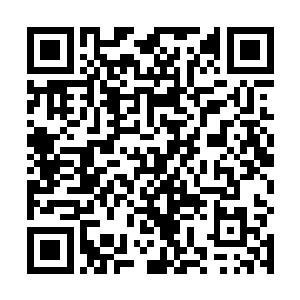 因为他目光瞥到坐在自己身边的姜婷婷神色黯淡了几分二维码生成