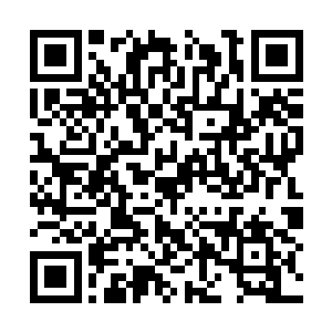 因为他看到了在荣光的身后有两个没有放弃的身影二维码生成