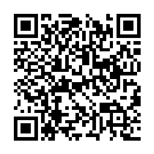 因为他看到了安立元在给完他面包后就将背包盖上二维码生成