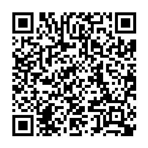因为他看到了海水中一个巨大的灰色身体正向着自己这边游了过来二维码生成