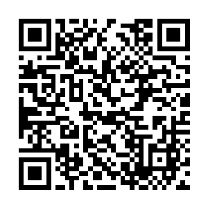 因为他看到夏天身后的那几个人居然都是S级佣兵二维码生成