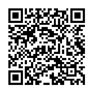 因为他看到那姑娘装束和九州大陆人的装束不一样二维码生成