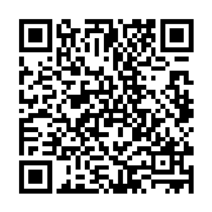 因为他真的是被阎军所说出来的这个秘辛给震惊到了二维码生成