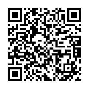 因为他知道这样下去自己元神迟早也要被火焰给燃烧殆尽二维码生成