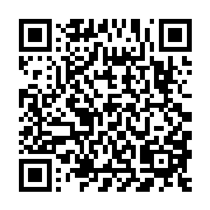 因为他知道雅培先生对于佩特里奇公司的调查一天都没有停止过二维码生成