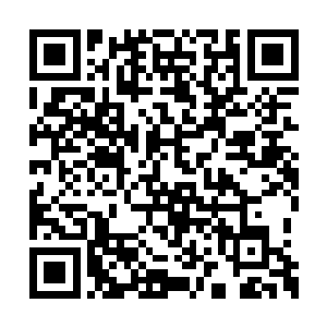 因为他答应了敖卢必须想尽一切办法弄到火蛇蓝二维码生成