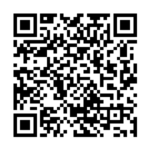 因为他给各个太上长老送过去的礼物全都变成了死耗子二维码生成