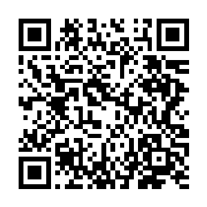 因为他能感觉得到体内妖皇石的力量不断喷涌出来二维码生成