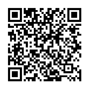因为他自己和手底下的仙兽们的实力能镇住一盘散沙的仙人二维码生成