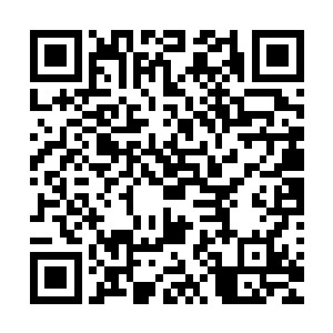 因为他觉得自己一张嘴那熟练的甜言蜜语只会把这种情绪打折二维码生成