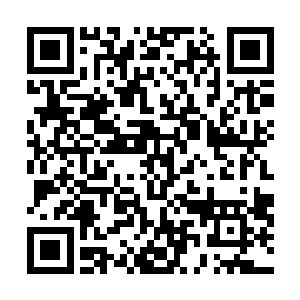 因为他这位天命之子真的是除了这两样东西什么都不缺了二维码生成