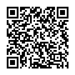 因为仙王级别的强者的怒火不是他们可以承受的起了二维码生成