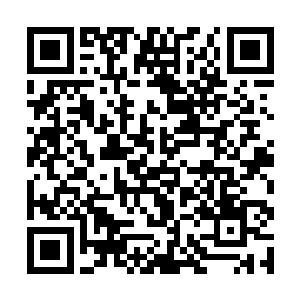 因为仙蕊继承我的一切就足够她安逸的生活一辈子了二维码生成