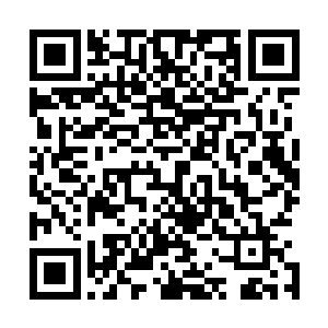因为以他如此肥胖的身体竟然摆脱不了一个老头子枯瘦的手二维码生成