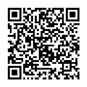 因为以前的时候土狗这些东西都是被动的接受自己的信息二维码生成