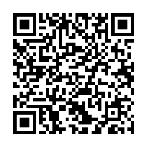 因为以我们龟族当时的势力根本就不是泰鸿家族的对手二维码生成