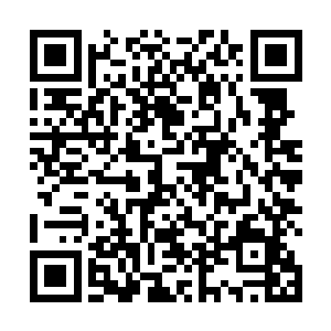 因为任何一个派系都不会随便得罪一个还算中立的天才二维码生成