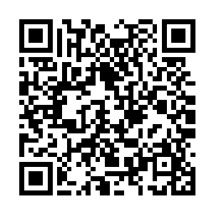 因为众大奴隶主对流沙兽皮骨的喜爱和极高的评价二维码生成