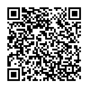 因为何所能给出的位置实在是太过恰合我和雪倾城所规划的蓝图了二维码生成