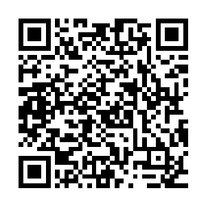因为你不知道要维持一个庞大的家族将要面对一些什么样的情况二维码生成