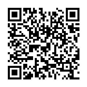 因为你少主身上的隐患远远比你想象中的还要严重二维码生成