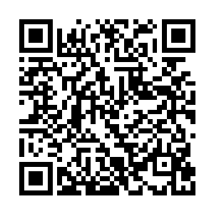 因为你知道现在是最好的时机――白家危机重重二维码生成