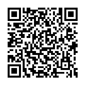 因为來自各方的实力代表们前來这里拜访长阳府二维码生成