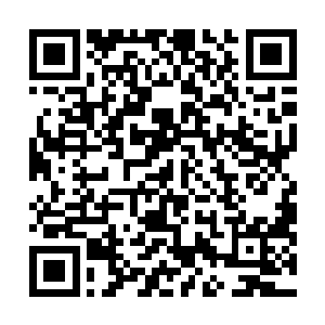 因为傀儡王的触手极有可能渗透到永恒光明号的四面八方二维码生成