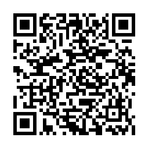 因为八号佯装受伤做不敌之状而手下留情了一招二维码生成