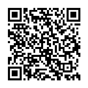 因为其它六人连拳头都没来得及伸出去就倒下了二维码生成