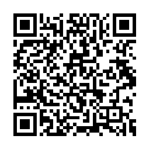 因为冷天佑发现脚下好像有其他的东西正在活动二维码生成