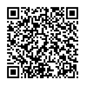因为几个股东当中也就只有他们楚家有这个财力一口气收购这么多股份了二维码生成