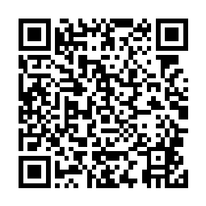 因为刚刚还在封锁他这边的火力有极大一部分调向了后方二维码生成