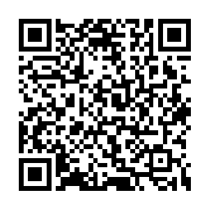因为刚才的一瞬间她甚至想如果龙战能早点回来二维码生成