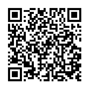 因为刚才莱昂纳多那一句关于兰波的评价是如此准确二维码生成