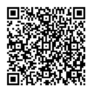 因为刚才许德拉灵魂出现暗淡的时候龙傲天可以明显的感觉出许德拉灵魂中传来的痛楚二维码生成