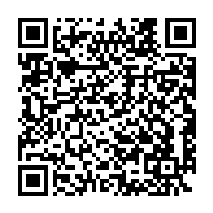 因为刚才还站在自己身后的流年此时此刻竟然是不知道跑到哪里去了二维码生成