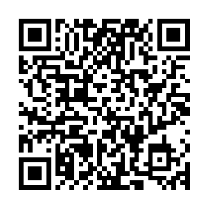 因为刚才那女子一举手就轻易地碎裂了大领主千足蓝鳄兽元神珠二维码生成